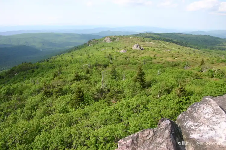 Hotels in Rye Valley