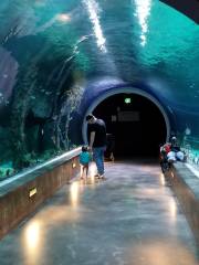 ラブランド・リビング・プラネット水族館