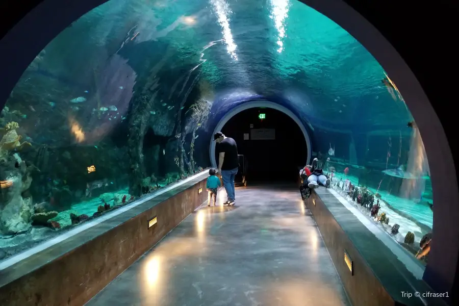 ラブランド・リビング・プラネット水族館