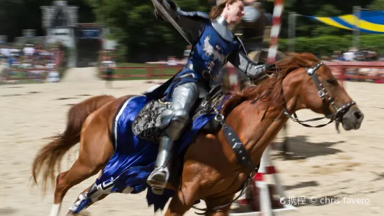 The New York Renaissance Faire