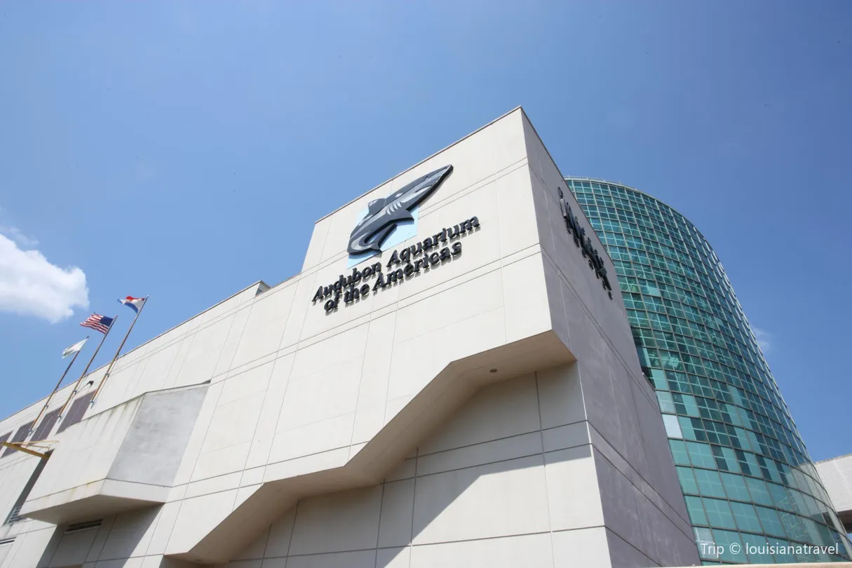 4_Audubon Aquarium