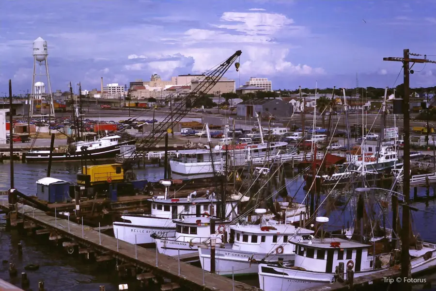 Port of Galveston