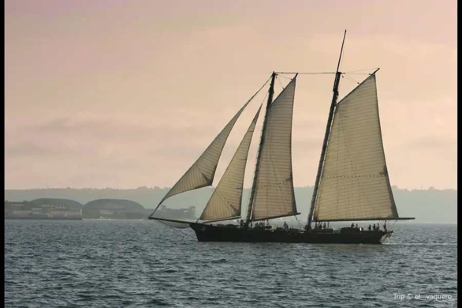 Coral Reef Boat