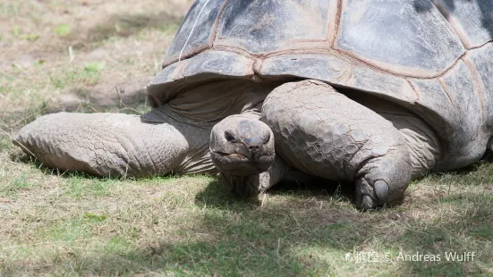 The Creature Conservancy