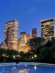 Wollman Rink