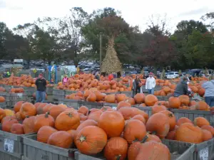 Linvilla Orchards