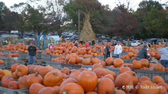 Linvilla Orchards