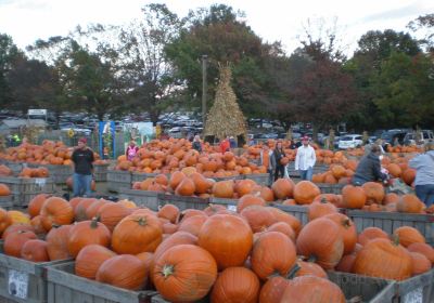 Linvilla Orchards