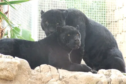 Terra Natura Benidorm