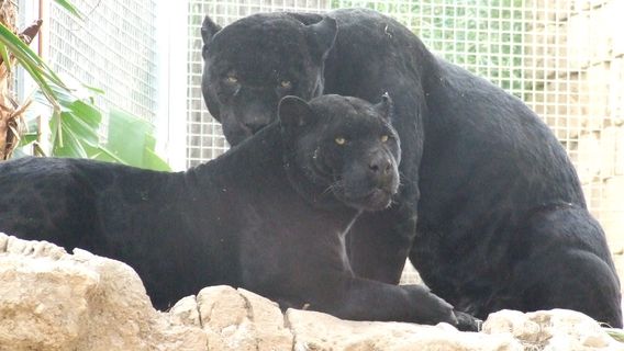 Terra Natura Benidorm