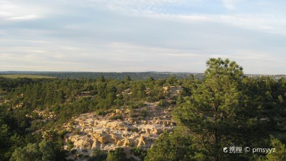 Palmer Park