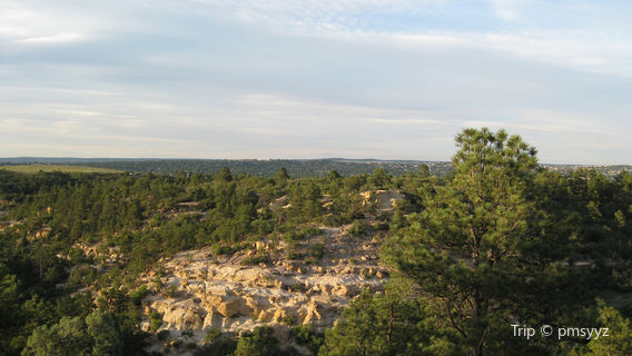 Palmer Park