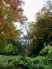 Dunster Castle