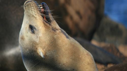 Monterey Bay National Marine Sanctuary Exploration Center