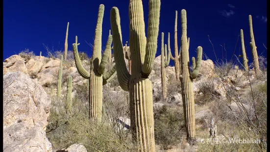 Catalina State Park