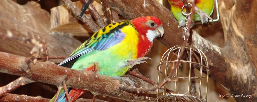 Cheyenne Mountain Zoo