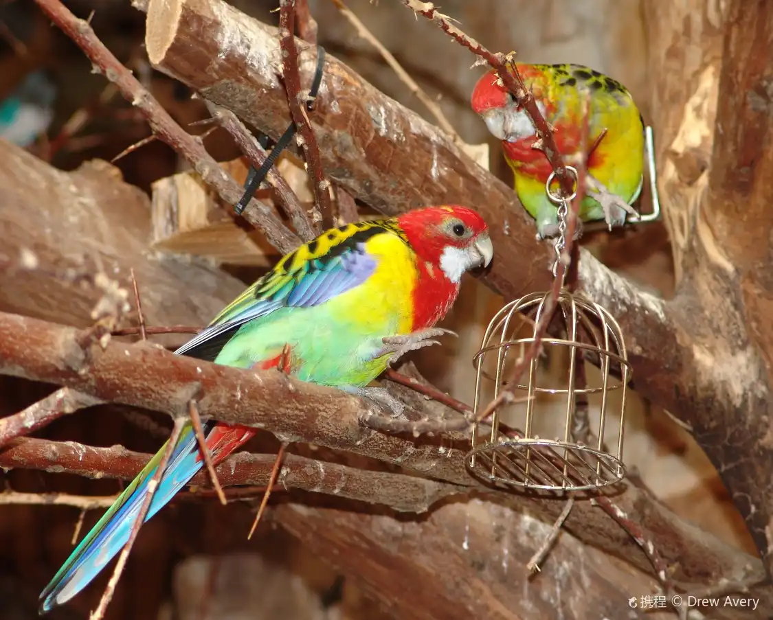 Hotels near Cheyenne Mountain Zoo