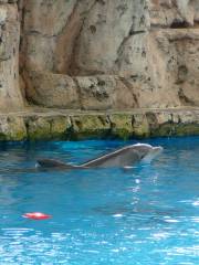 テキサス州立水族館