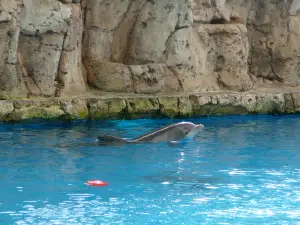 テキサス州立水族館