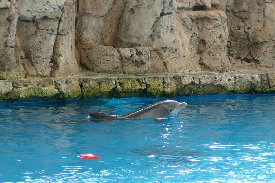 Texas State Aquarium