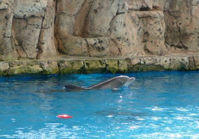 テキサス州立水族館