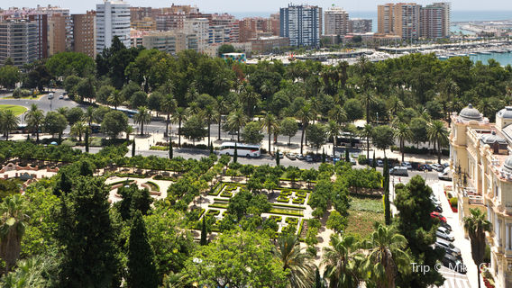 Jardines de Pedro Luis Alonso