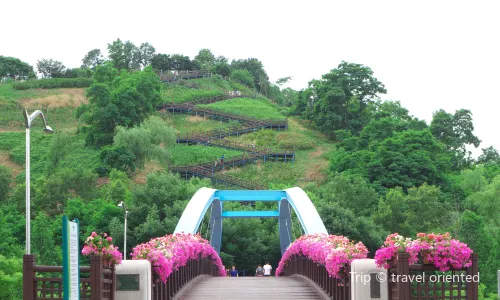 Parco Haneul