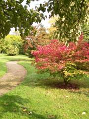 National Trust - Emmetts Garden