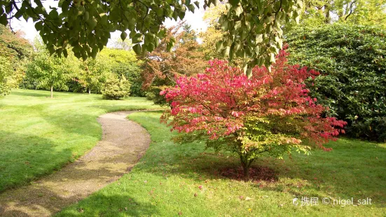 National Trust - Emmetts Garden