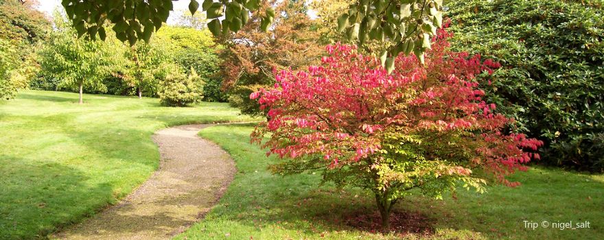 National Trust - Emmetts Garden