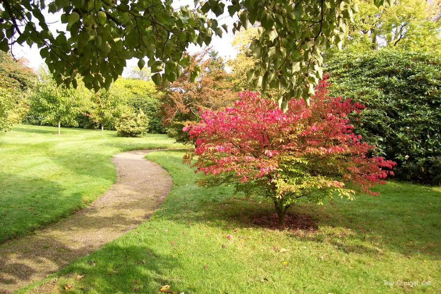 National Trust - Emmetts Garden