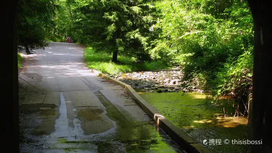 Patapsco Valley State Park - Hollofield Area