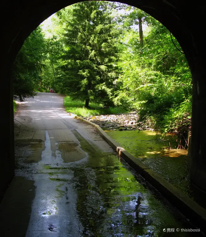 Ellicott City
