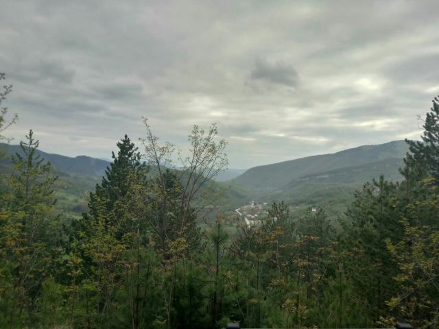 木頭村