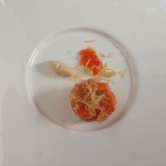 TRB Hutong User Photo