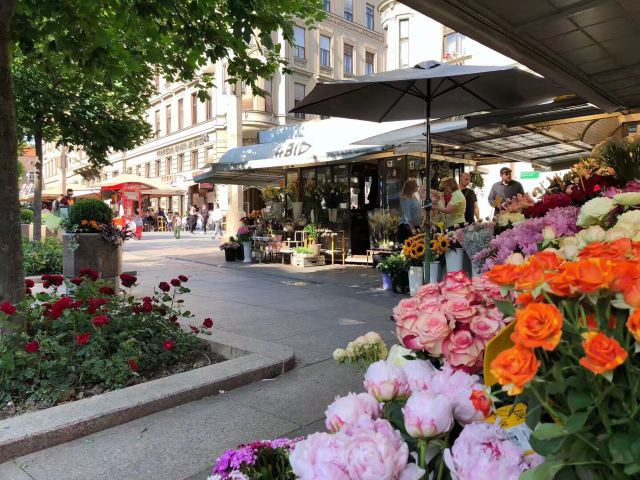 Old Town
