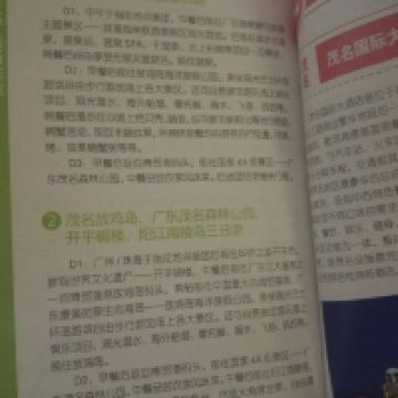 評論圖片 8