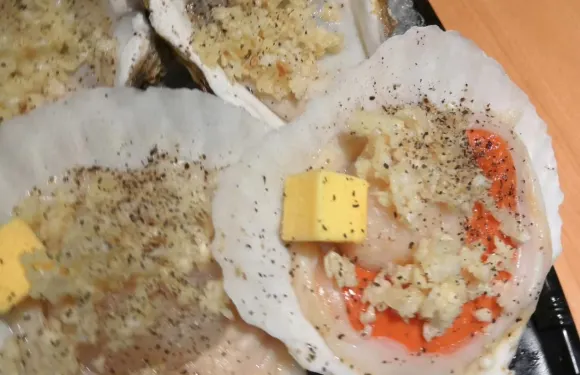 居酒屋芋兄ちゃん