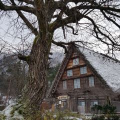 Cafe Karyudo User Photo