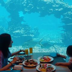 Aqua - Aquarium Restaurant User Photo