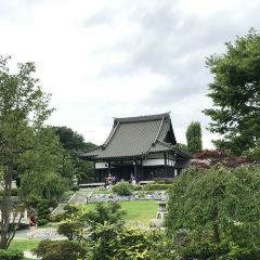 Eko Haus Der Japanischen Kultur E V Travel Guidebook Must Visit Attractions In Dusseldorf Eko Haus Der Japanischen Kultur E V Nearby Recommendation Trip Com