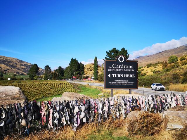 Cardrona Bra Fence