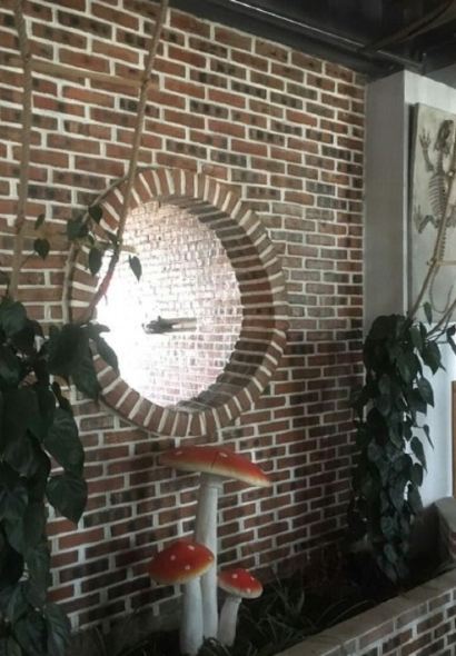 禄丰菌乡四季生态美食汇