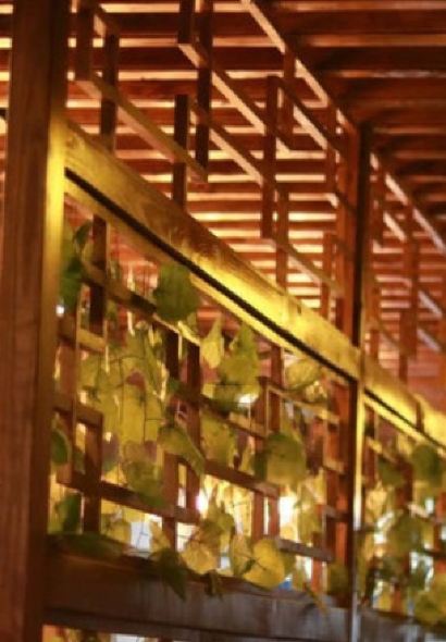 HONGCHI LAOMA SHENGTAI CANTING