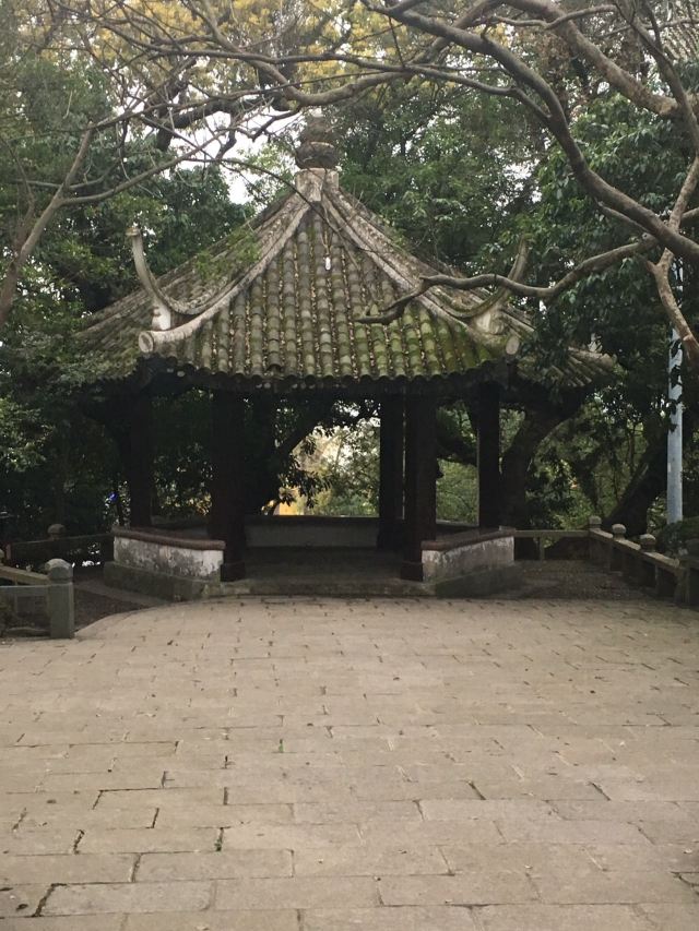 장신위섬