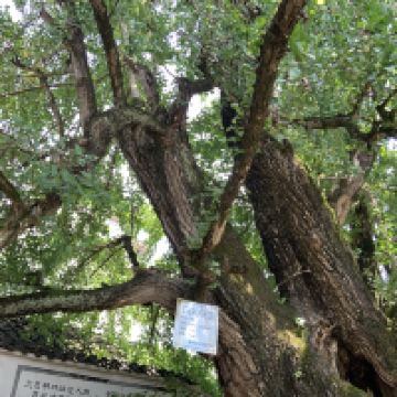 評論圖片 8