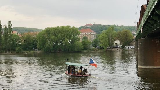公园就在多瑙河的边上，可以看到漂亮的多瑙河公园里面还有一座塔