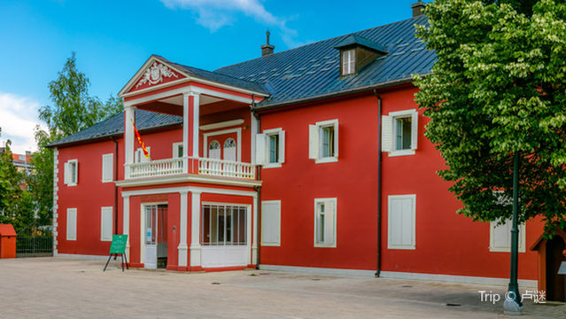 Музей короля Николая