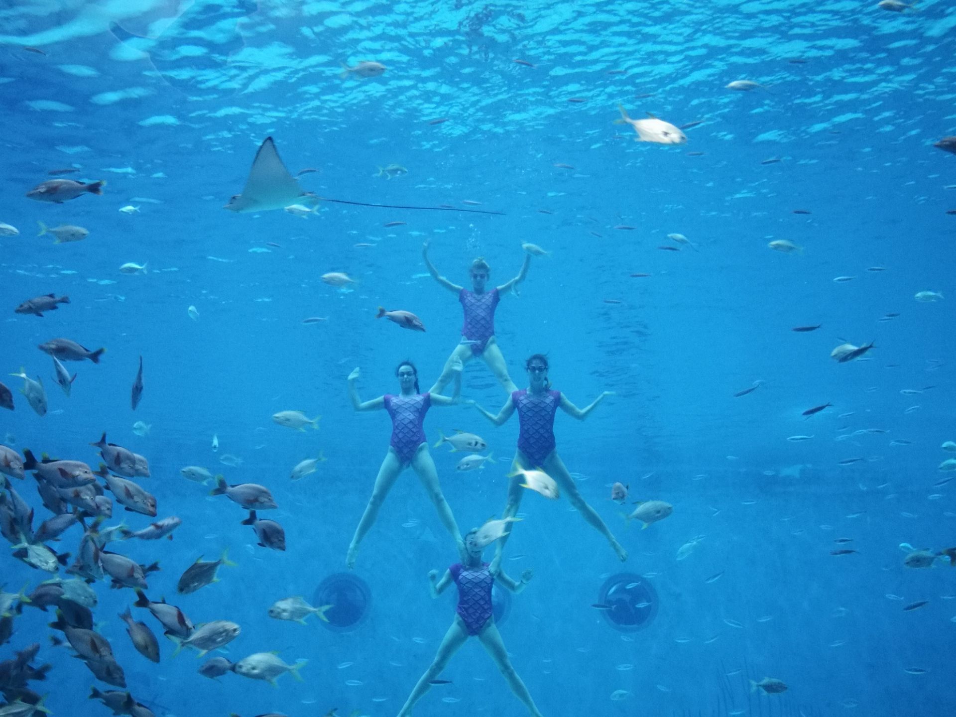 美人魚表演 人魚童話 旅遊攻略指南 美人魚表演 人魚童話 評價 美人魚表演 人魚童話 附近推薦 Trip Com 美人魚表演 人魚童話 旅遊攻略指南 美人魚表演 人魚童話 評價 美人魚表演 人魚童話 附近推薦 Trip Com