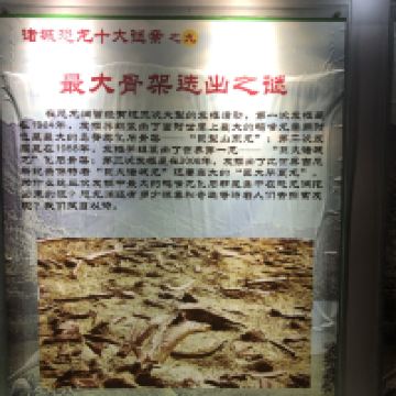 評論圖片 7